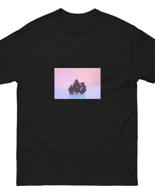 Unisex classic tee